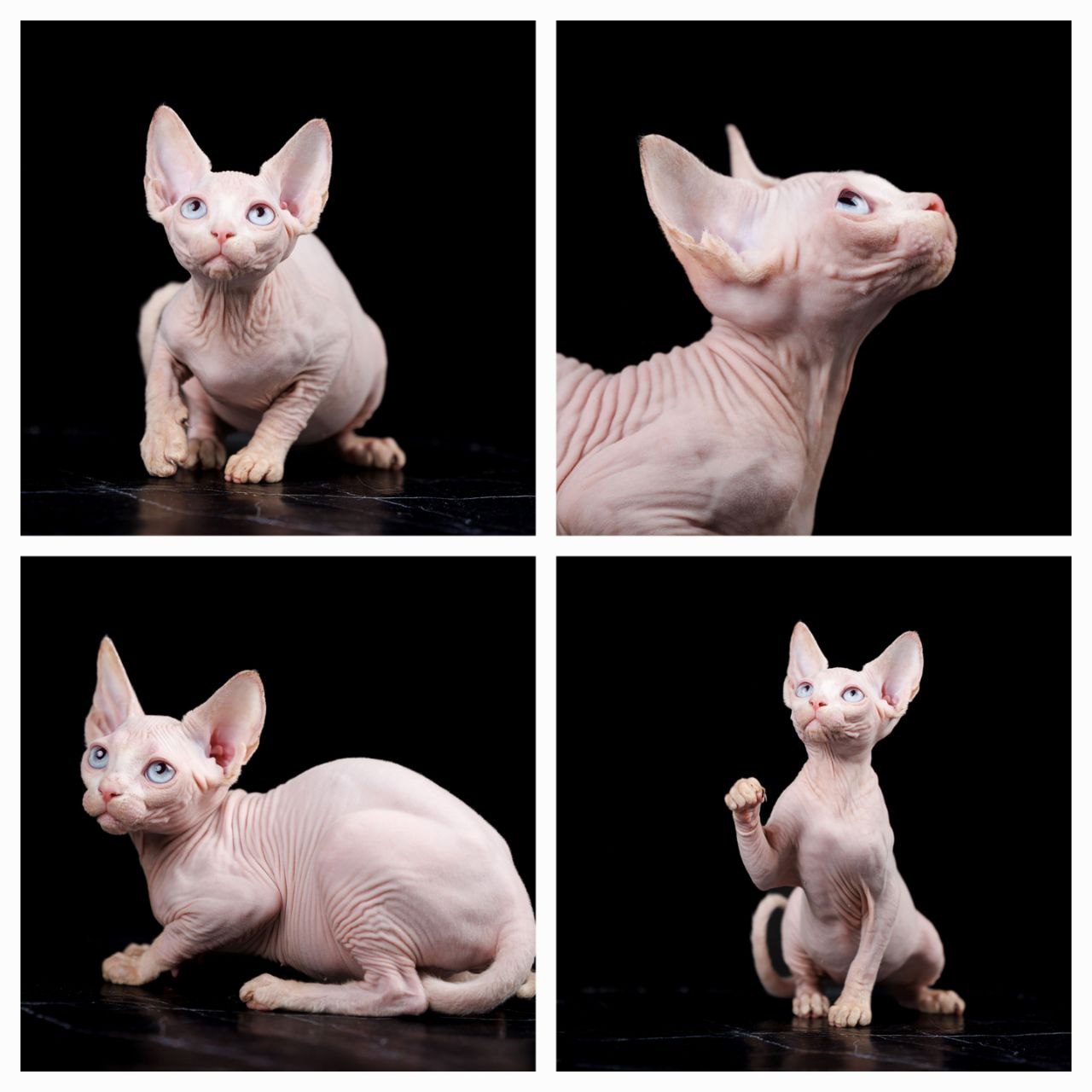 photo 2025-10-18 17-44-45